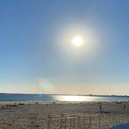 Grand T2 Proche De La Plage Avec Terrasse Ensoleillee Διαμέρισμα *